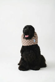 Snood – Summer Daisy