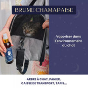 Brume relaxante