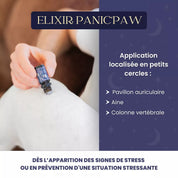 Roll-on apaisant pour chien