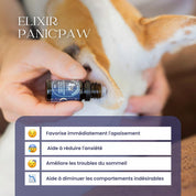 Roll-on pour chien anti-stress