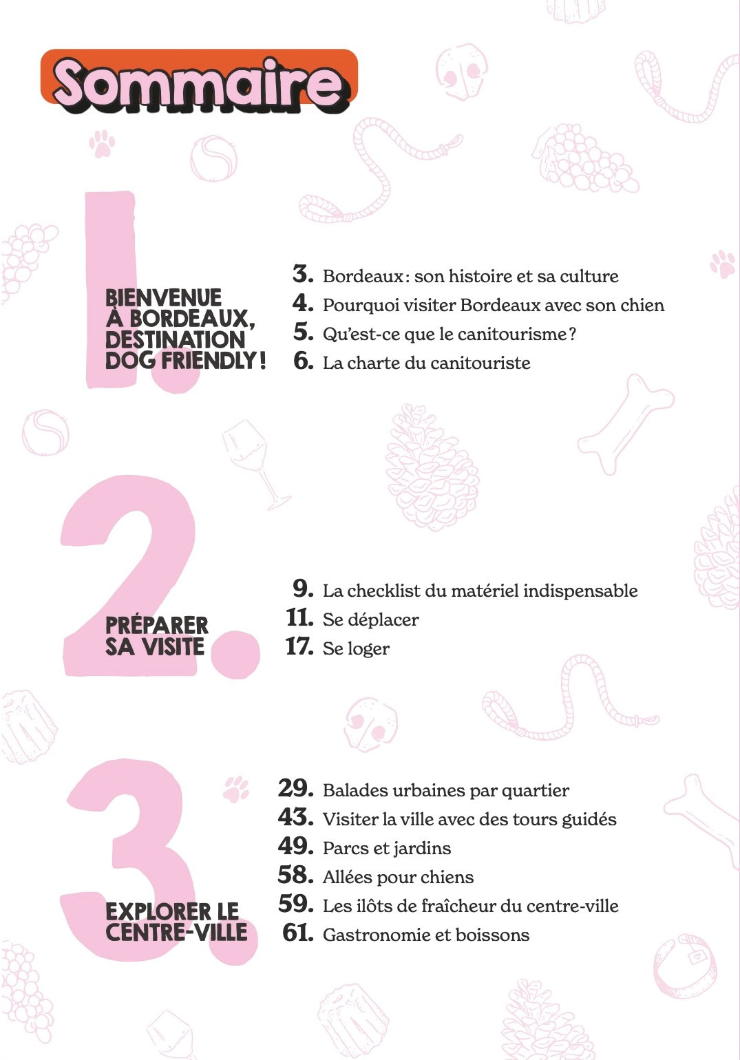 Guide Visiter Bordeaux avec son chien