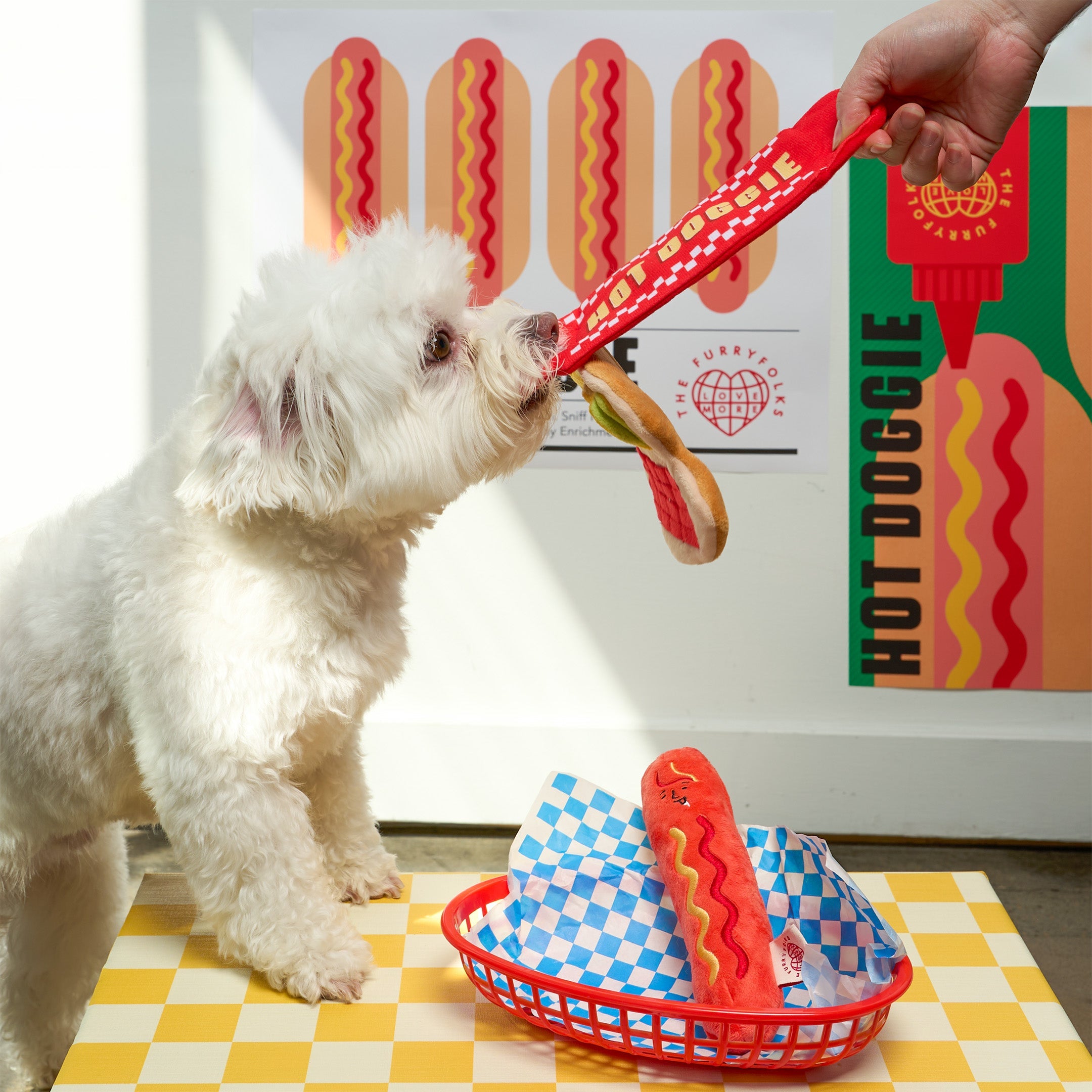 Petit chien blanc qui joue avec le jouet de fouille Le Hot Dog