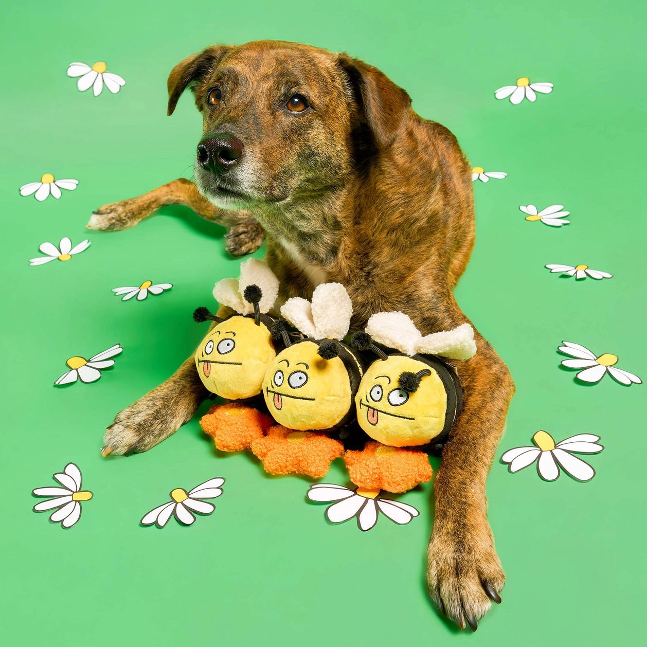 Jouet de fouille - L'abeille