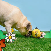 Jouet de fouille - L'abeille