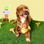 Jouet de fouille - L'ours