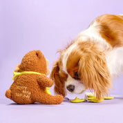 Jouet de fouille - L'ours