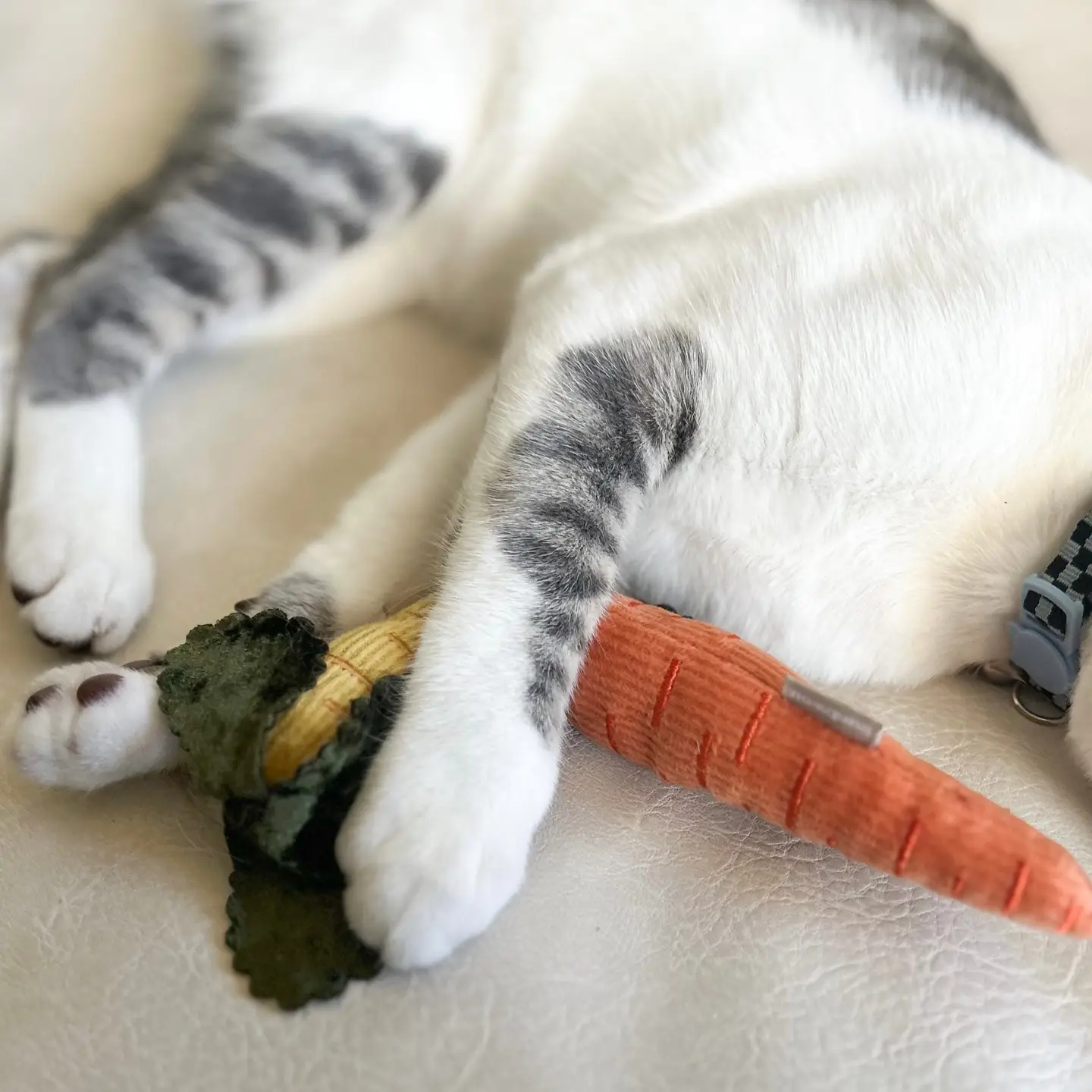 Jouet pour chat - Les petites carottes