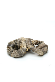 Cod ring - Natural chew