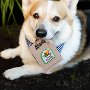 Badge thermocollant pour chien "Green Thumb"-Patch et badges-Scoot's Honor-Muzon