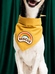 Badge thermocollant pour chien "Rescue"-Patch et badges-Scoot's Honor-Muzon