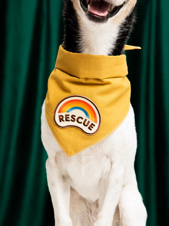 Badge thermocollant pour chien "Rescue"-Patch et badges-Scoot's Honor-Muzon