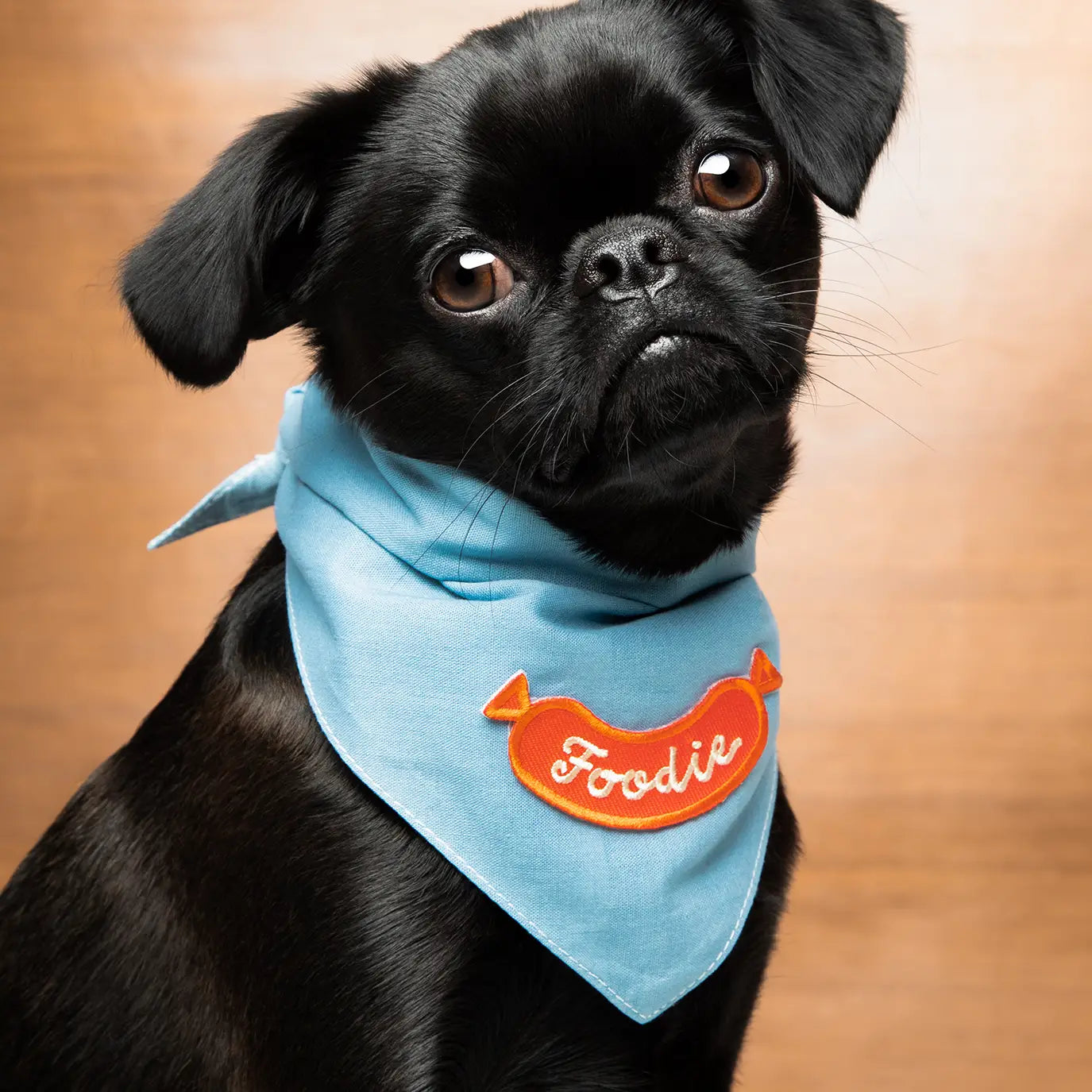Badge thermocollant pour chien "Foodie"
