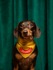 Badge thermocollant pour chien "Foodie"