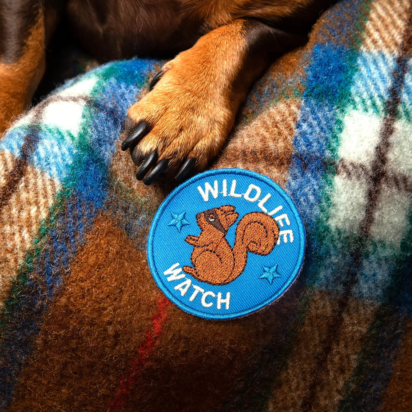 Badge thermocollant pour chien "Wildlife Watch"