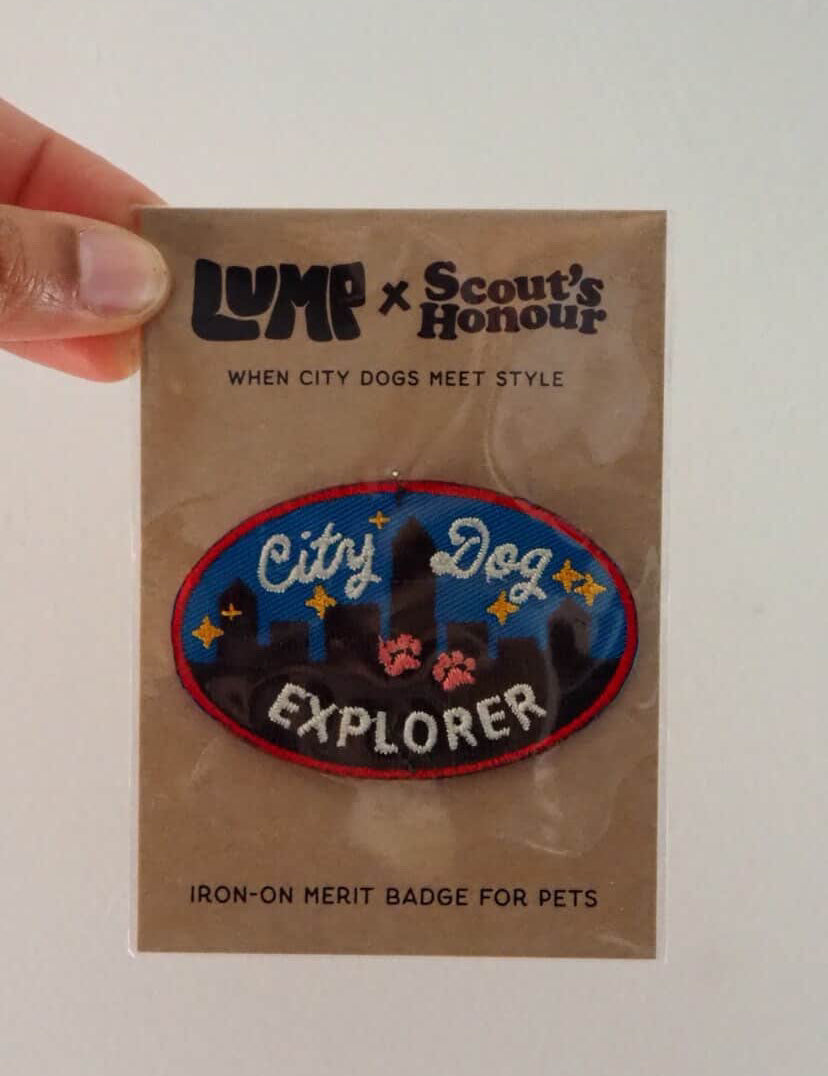 baglumpcityexporer.jpg
