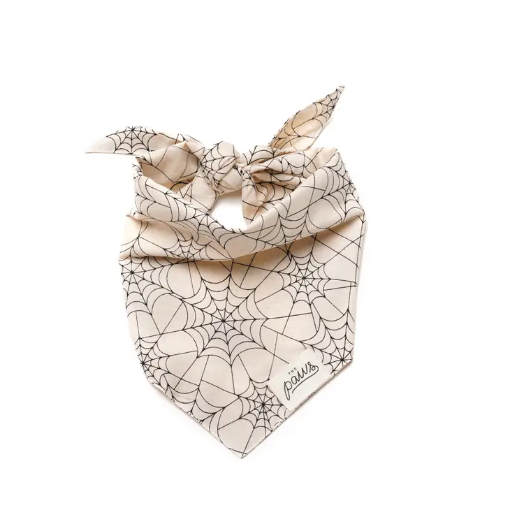 Collier Bandana pour chien - Motif Toile d’araignée