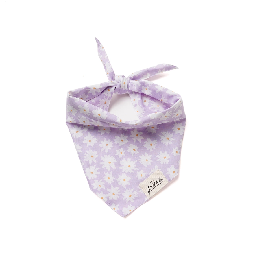 Bandana pour chien - Fleurs blanches sur fond Violet