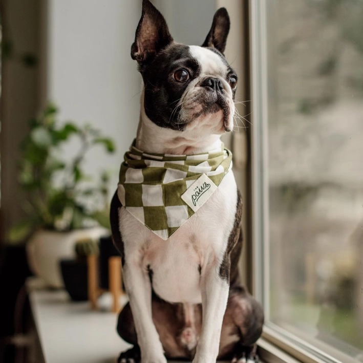 Collier Bandana pour chien - Carreaux Vert & Blanc cassé