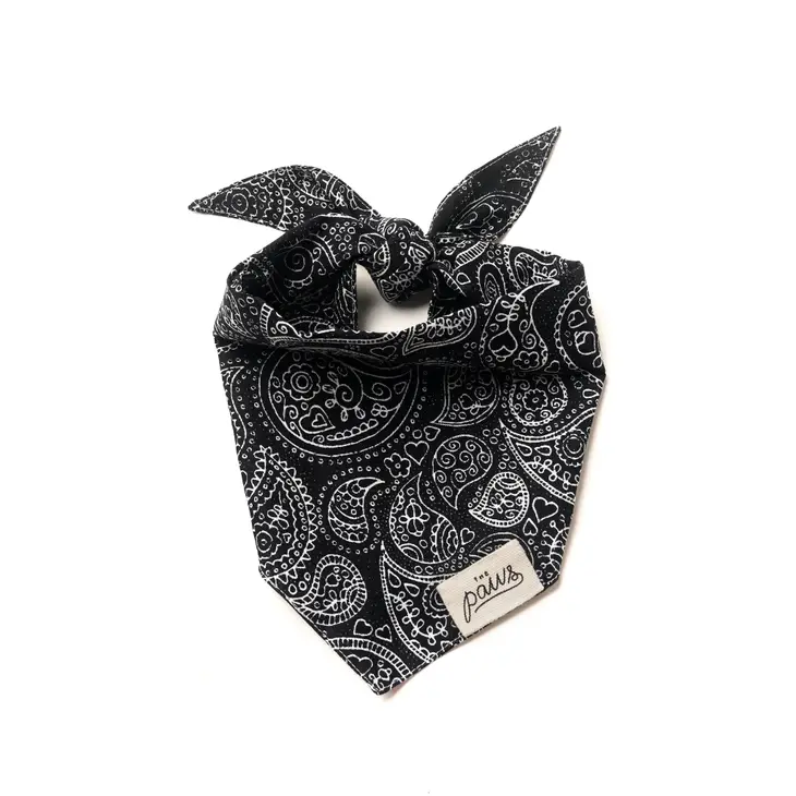 Collier Bandana pour chien - Motif Cachemire noir