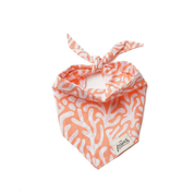 Bandana Collier pour chien - Motifs Récif et Corail