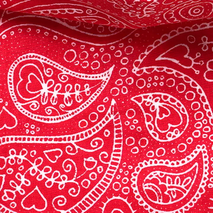 Collier Bandana pour chien - Imprimé Cachemire Rouge et Blanc