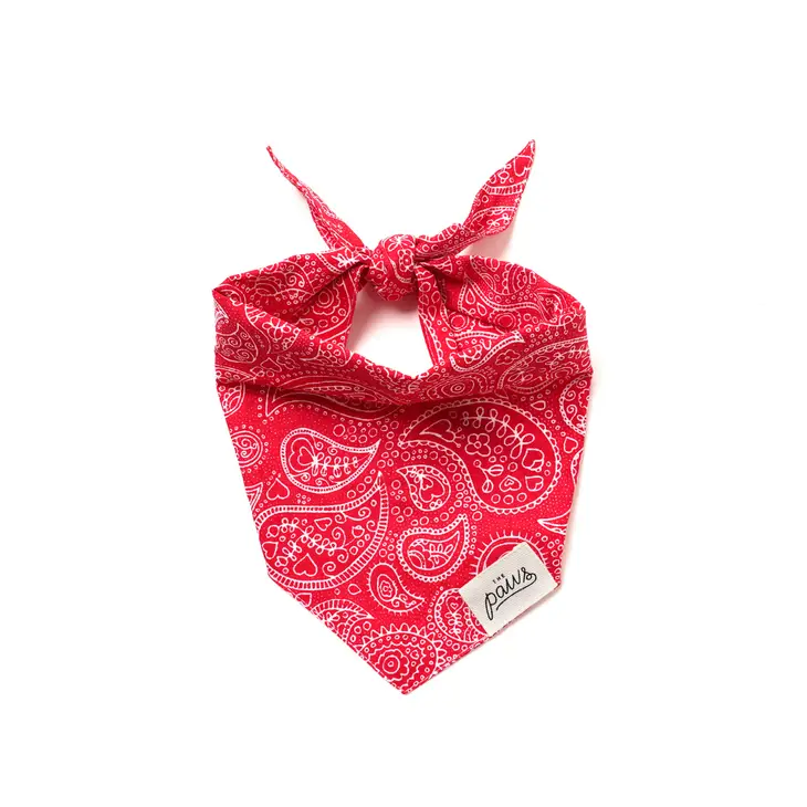 Bandana pour chien - Imprimé Cachemire