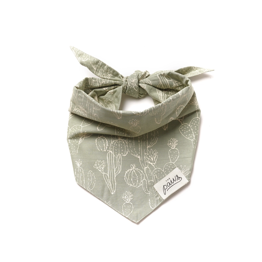 Bandana Collier Vert pour chien - Motifs Cactus & Désert