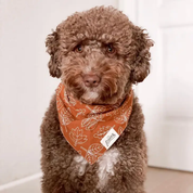 Bandana Collier pour chien - Feuilles d’automne - Orange et Blanc