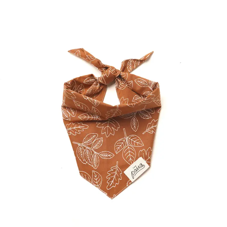 Collier Bandana pour chien - Feuilles d’automne - Orange et Blanc