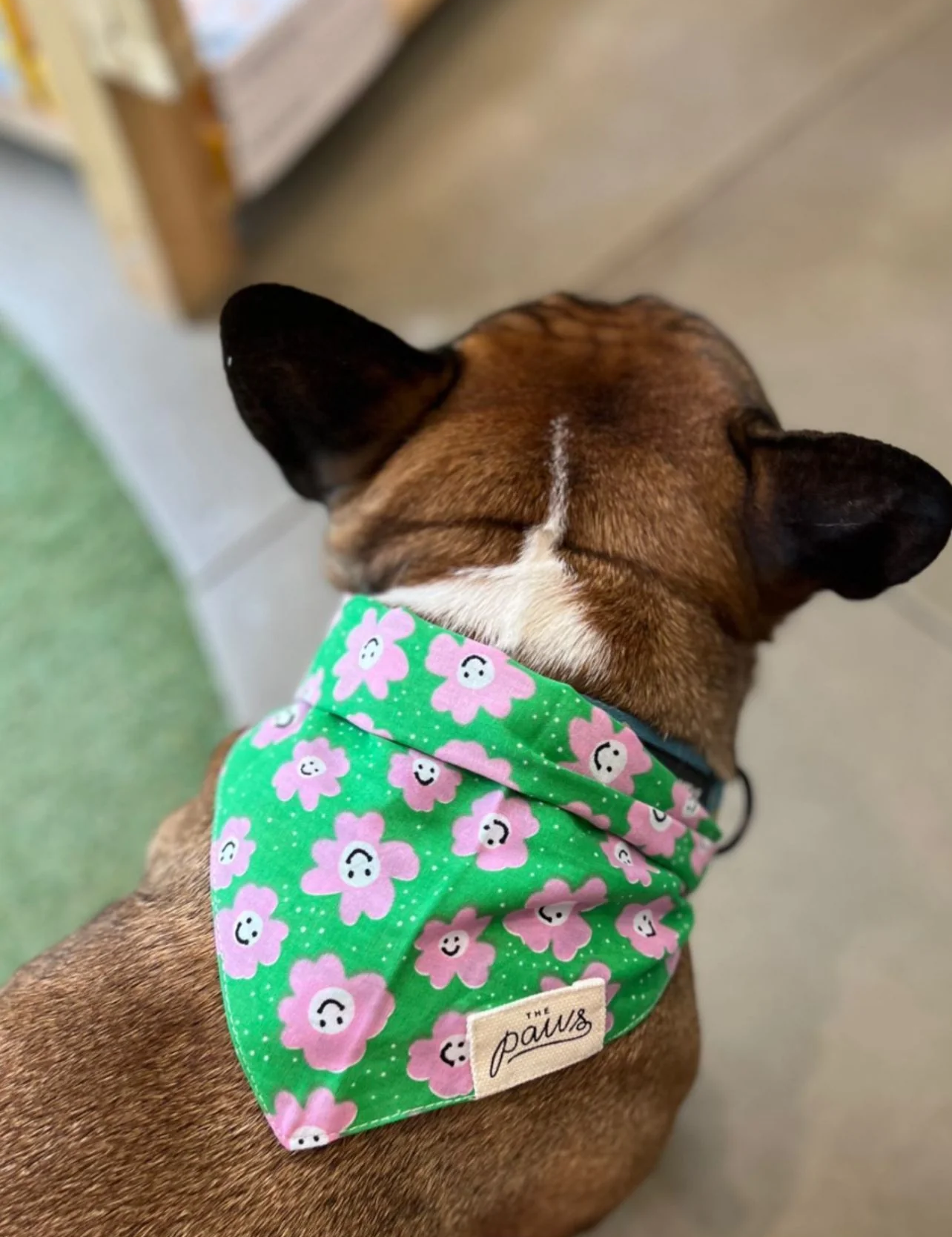 Bandana Collier chien - Motifs Fleurs roses et fond vert