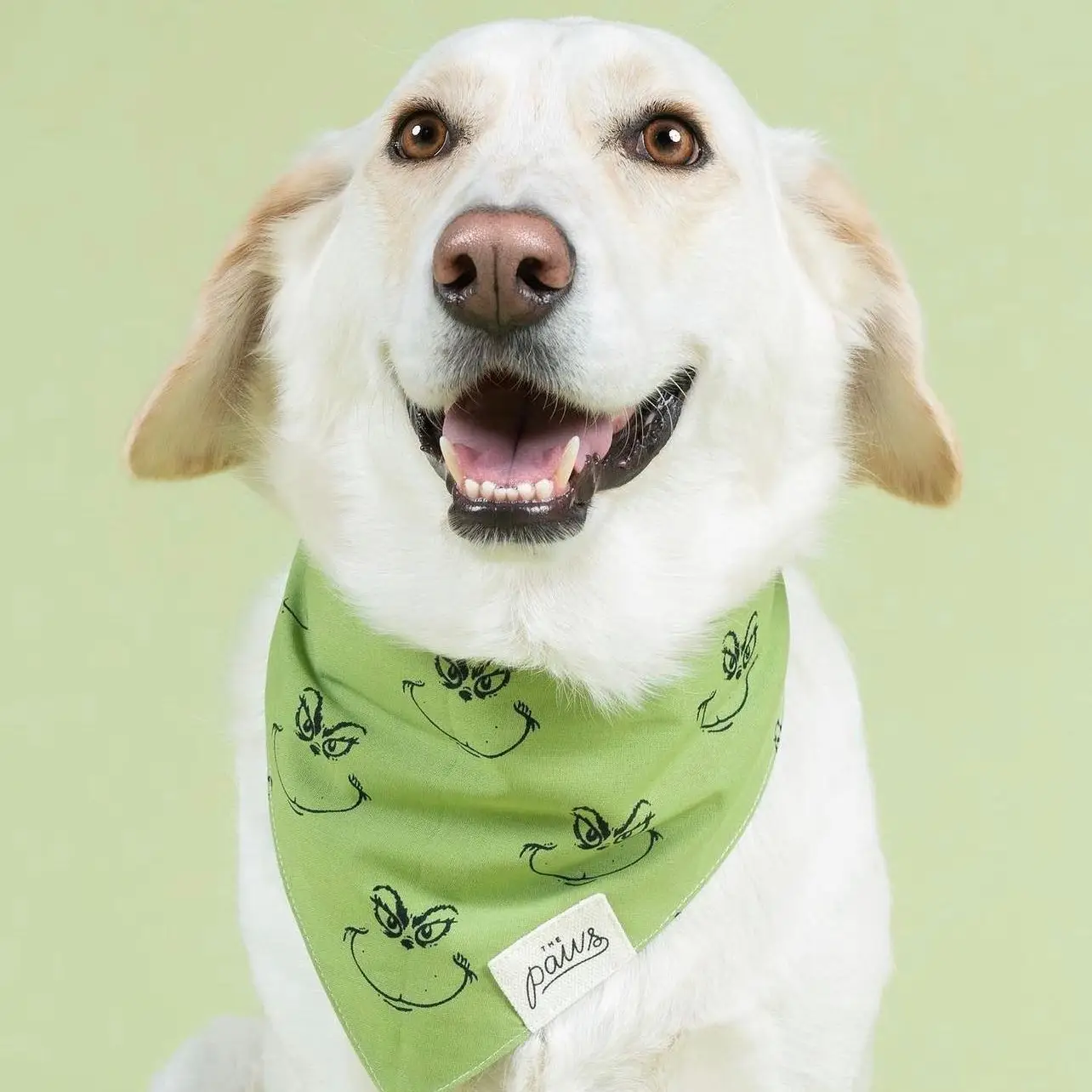 bandana-pour-chiens-grinch-2.png