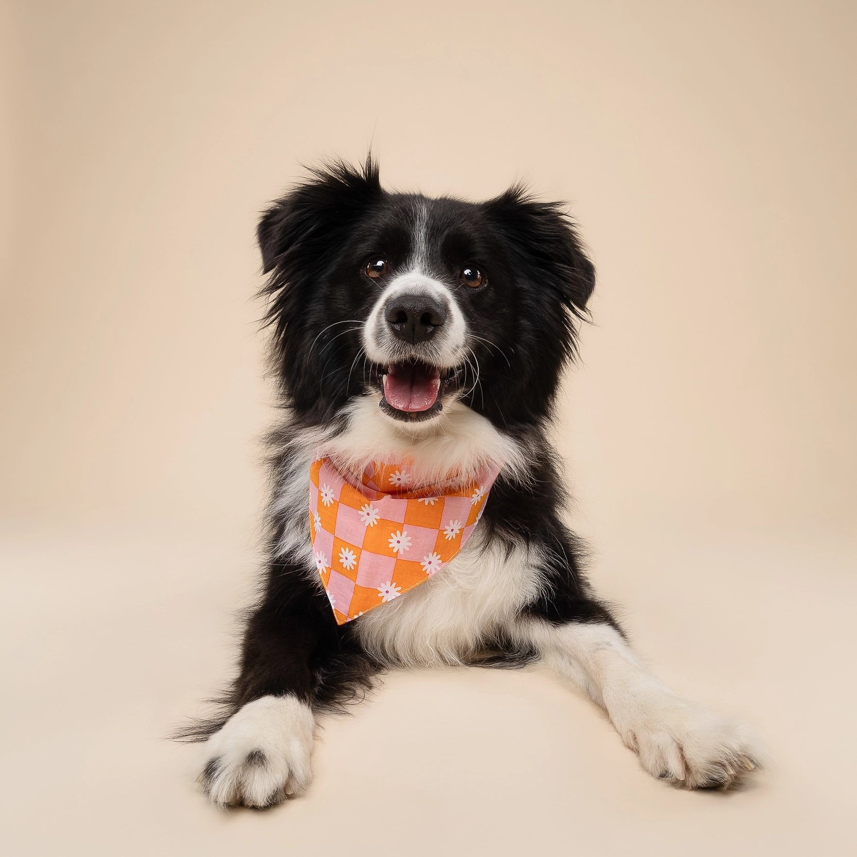 bandanahula3.webp
