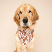 Bandana pour chien - Sauvage marron