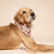 Bandana pour chien - Sauvage marron