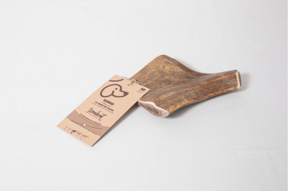 Bois de daim - Mastication naturelle