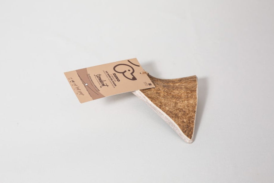 Bois de daim - Mastication naturelle