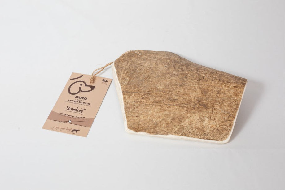 Bois de daim - Mastication naturelle