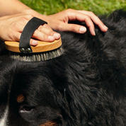 Brosse de massage pour chien-Soins-Toutou-Muzon