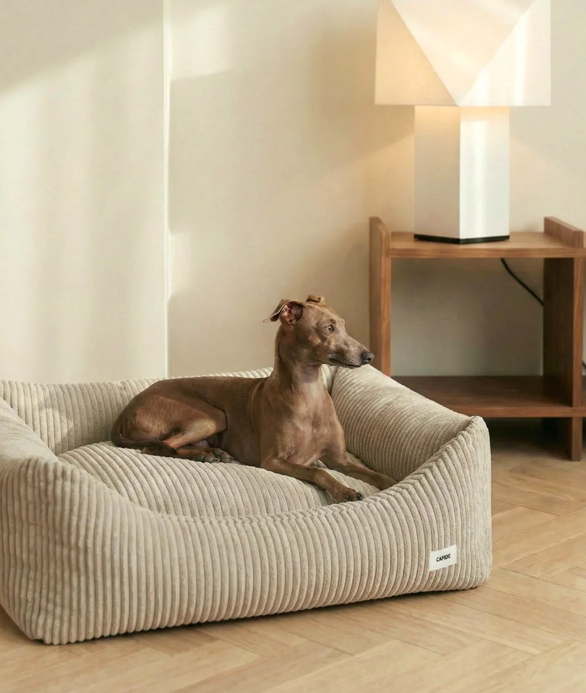 Canapé pour chien en velours côtelé - Beige