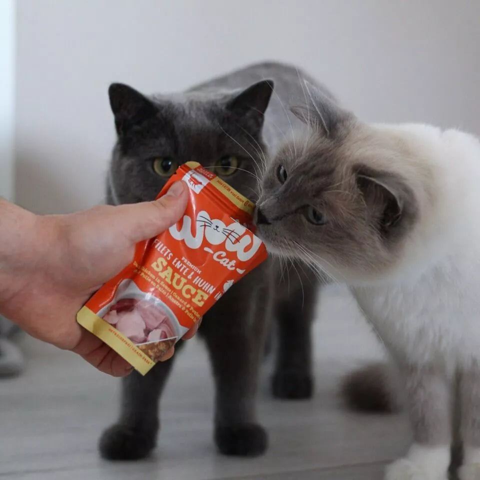 Canard et poulet - Nourriture en sauce pour chat