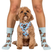 Chaussettes Dog Race - Cockapoo