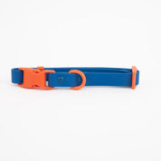 Collier waterproof - Bleu