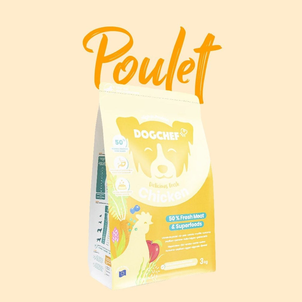 Croquettes pour chien adultes - Poulet frais-Croquettes-Dog Chef-Muzon