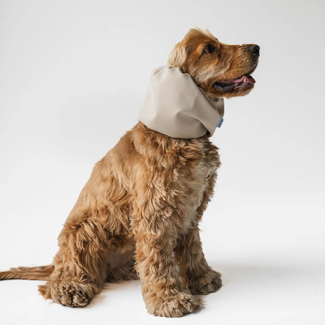 dog_snood_waterproof_beige.webp