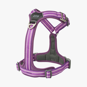 Harnais Comfort Walk Air™ - Violet