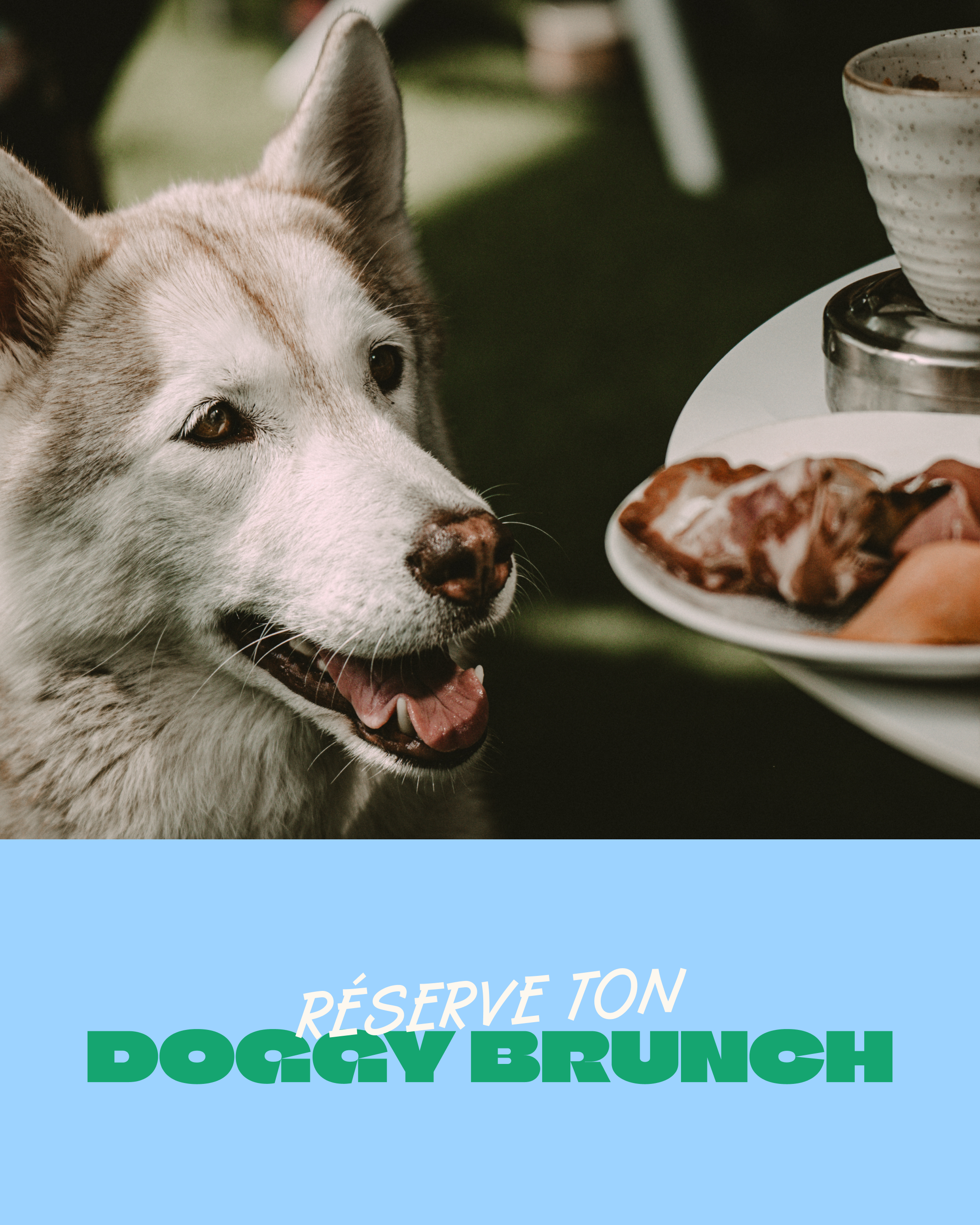 Doggy brunch au FirstName Bordeaux - 06.09.2026
