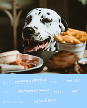 Doggy brunch au FirstName Bordeaux - 06.09.2026