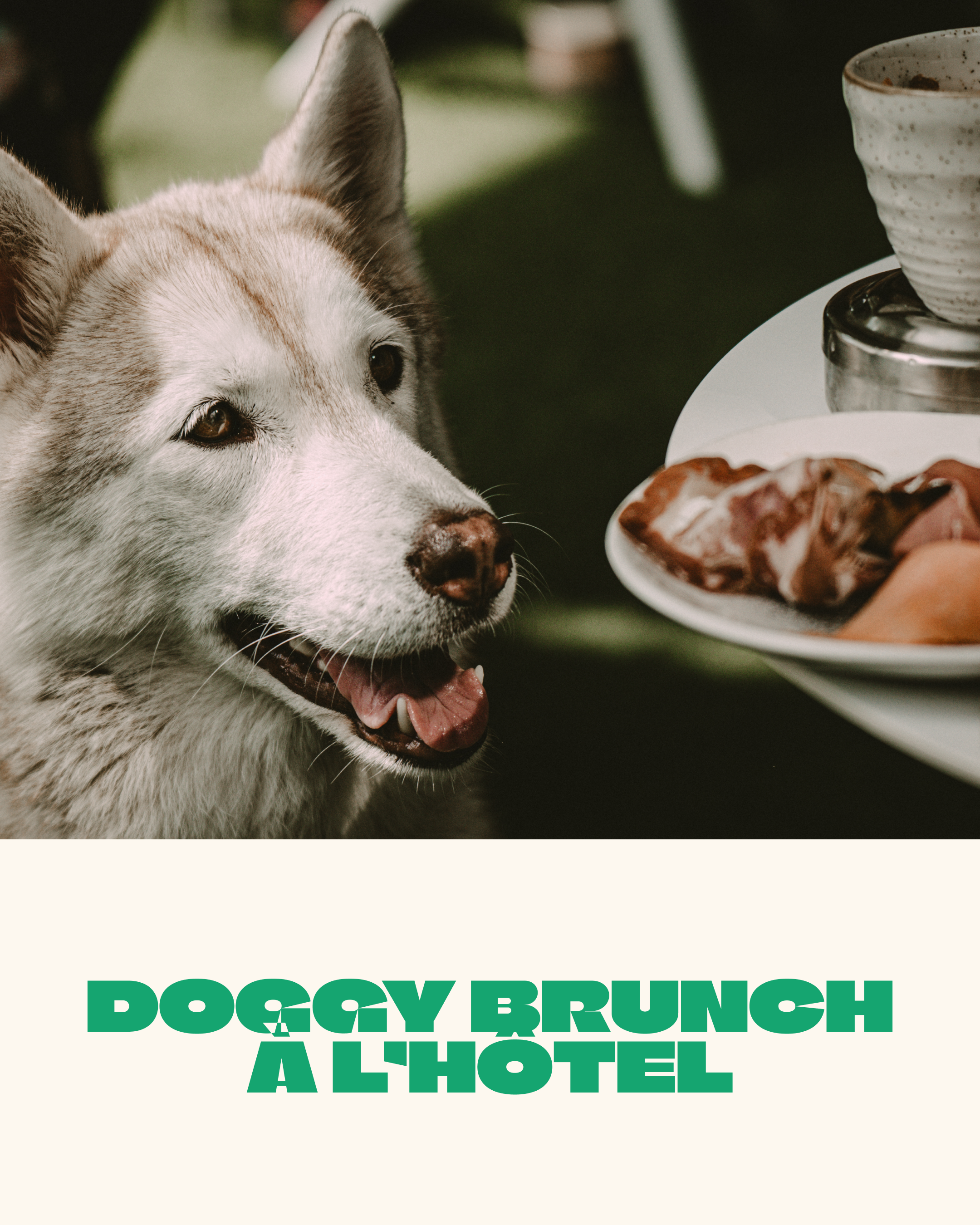 Doggy brunch au FirstName Bordeaux - 06.09.2026