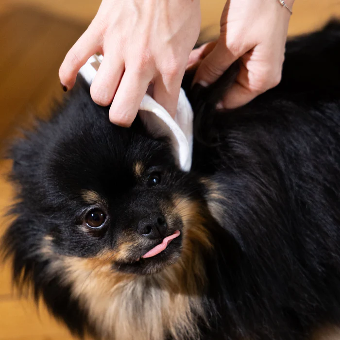 eau-micellaire-chien-fur-love-2.png