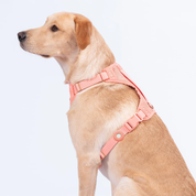 Etui Airtag en silicone pour chien - Bleu marine-Accessoires-Awoo-Muzon